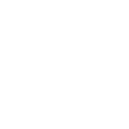 Juicy Fruit